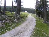 Planina Podvežak - Kocbekov dom na Korošici